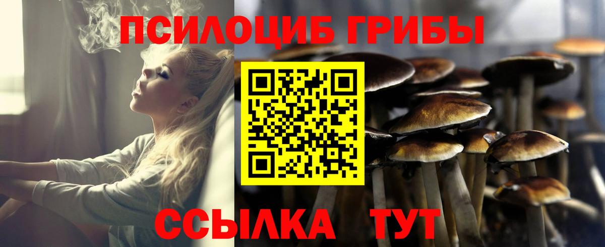 Галлюциногенные грибы GOLDEN TEACHER Михайловск